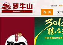 海南羅牛山食品集團(tuán)有限公司